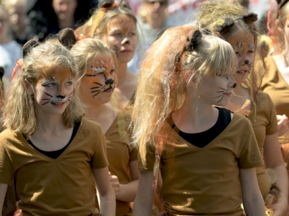 OLYMPUS DIGITAL CAMERA