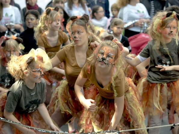 OLYMPUS DIGITAL CAMERA