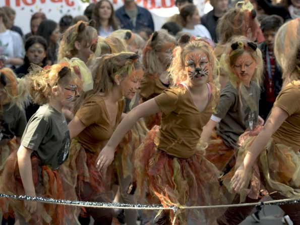 OLYMPUS DIGITAL CAMERA