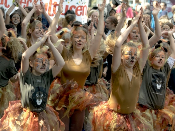 OLYMPUS DIGITAL CAMERA