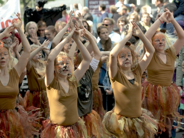 OLYMPUS DIGITAL CAMERA