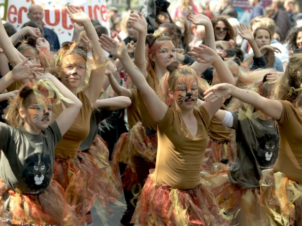 OLYMPUS DIGITAL CAMERA