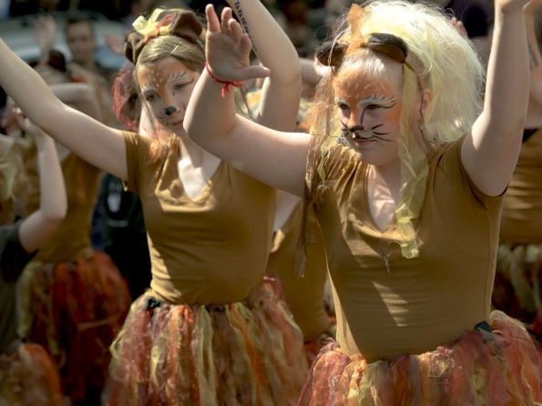 OLYMPUS DIGITAL CAMERA