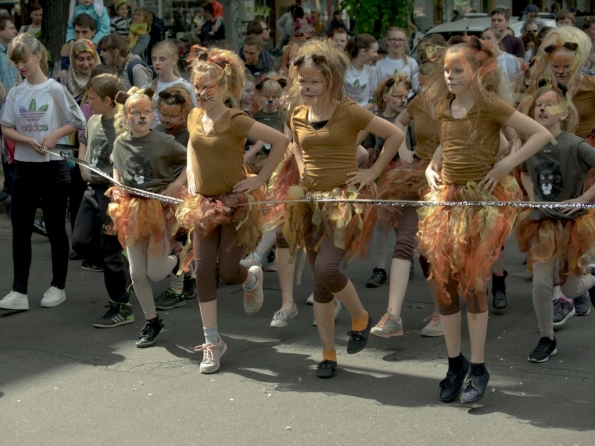 OLYMPUS DIGITAL CAMERA