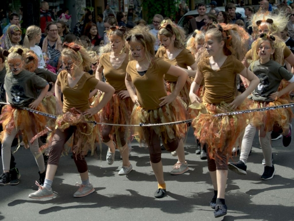 OLYMPUS DIGITAL CAMERA