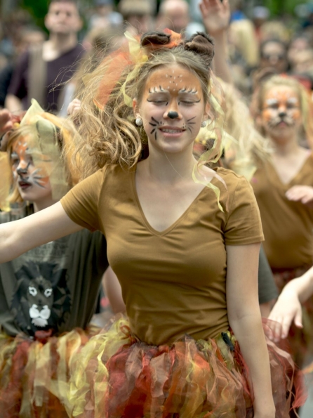 OLYMPUS DIGITAL CAMERA