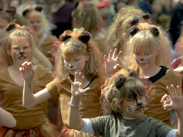 OLYMPUS DIGITAL CAMERA