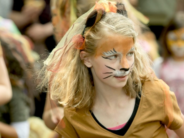 OLYMPUS DIGITAL CAMERA