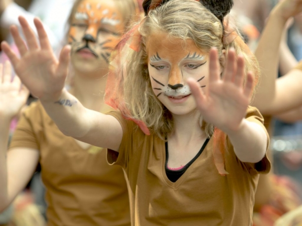 OLYMPUS DIGITAL CAMERA