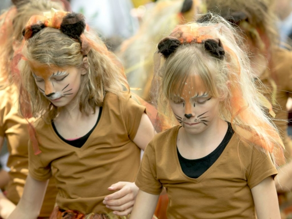 OLYMPUS DIGITAL CAMERA