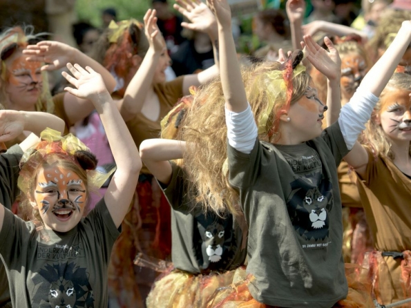 OLYMPUS DIGITAL CAMERA