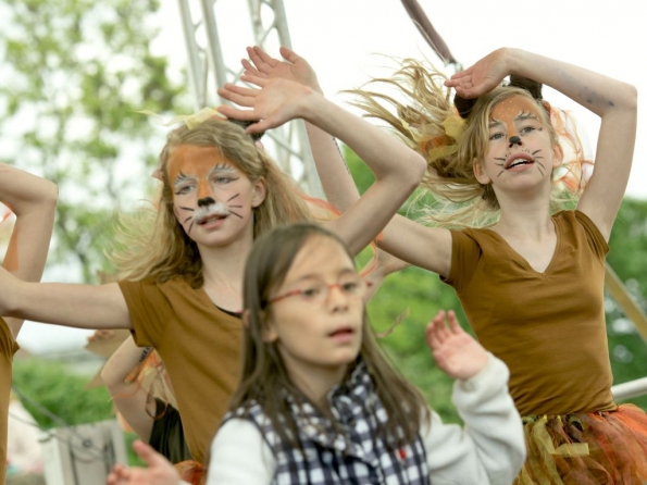 OLYMPUS DIGITAL CAMERA