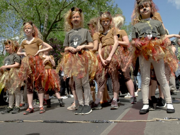 OLYMPUS DIGITAL CAMERA