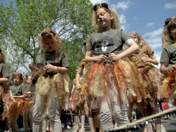 OLYMPUS DIGITAL CAMERA