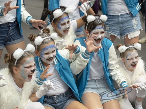 OLYMPUS DIGITAL CAMERA