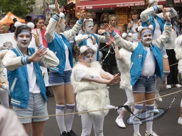 OLYMPUS DIGITAL CAMERA