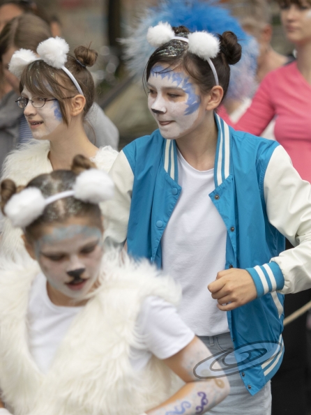 OLYMPUS DIGITAL CAMERA