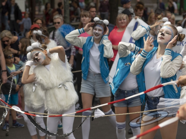 OLYMPUS DIGITAL CAMERA