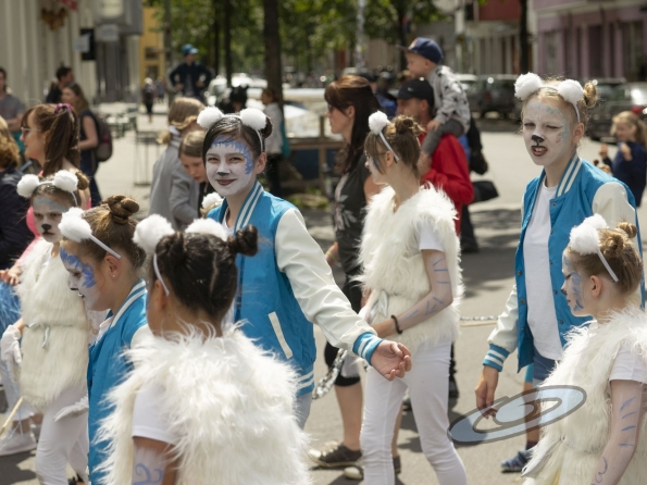 OLYMPUS DIGITAL CAMERA