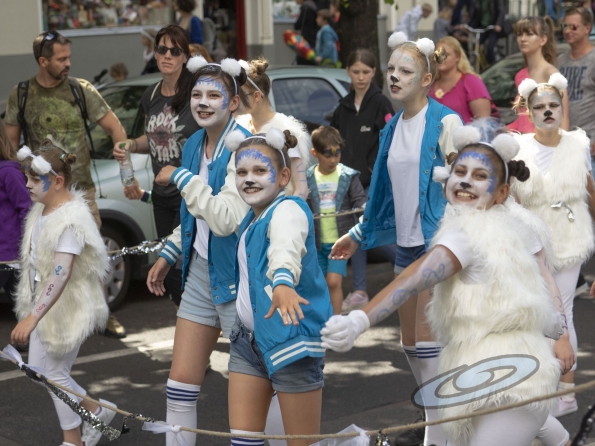 OLYMPUS DIGITAL CAMERA