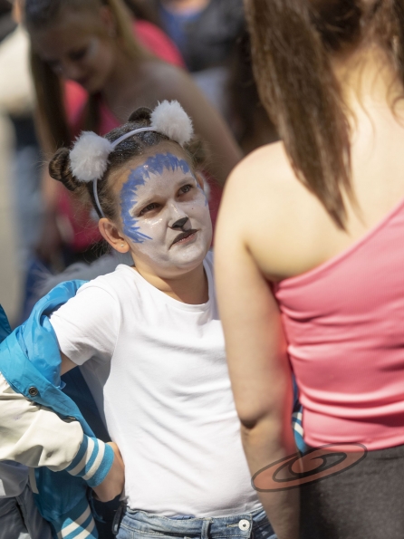 OLYMPUS DIGITAL CAMERA