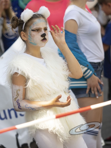 OLYMPUS DIGITAL CAMERA