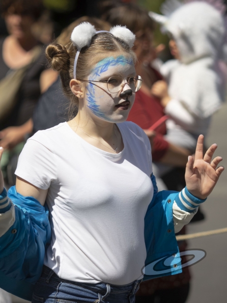 OLYMPUS DIGITAL CAMERA