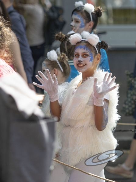 OLYMPUS DIGITAL CAMERA