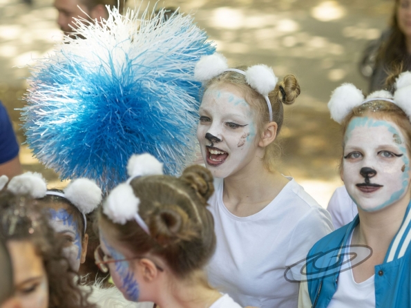 OLYMPUS DIGITAL CAMERA