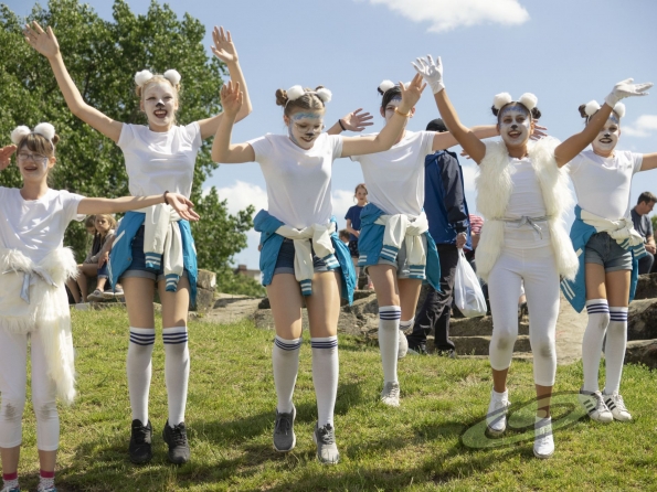 OLYMPUS DIGITAL CAMERA