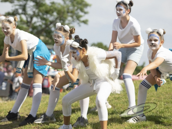 OLYMPUS DIGITAL CAMERA