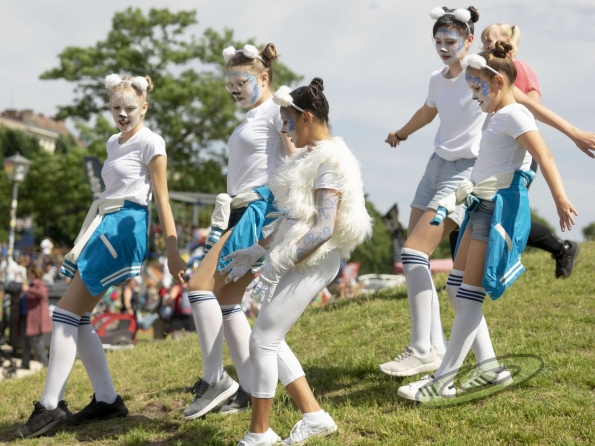 OLYMPUS DIGITAL CAMERA