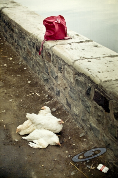 OLYMPUS DIGITAL CAMERA